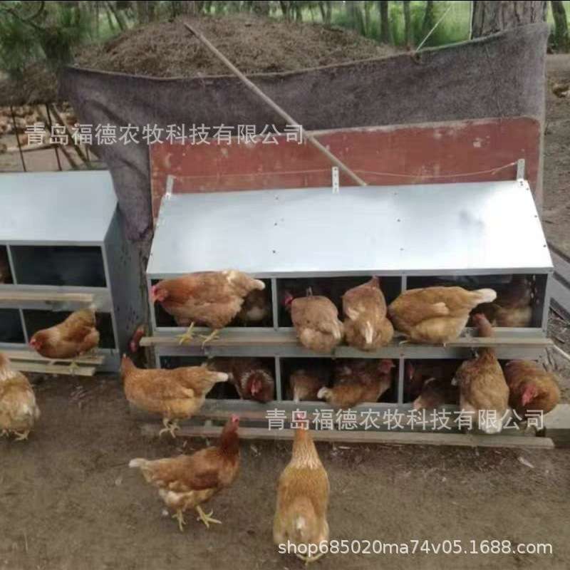 多穴鸡用产蛋箱 鸡下蛋箱子 种鸡产蛋窝 双层产蛋箱养鸡设备