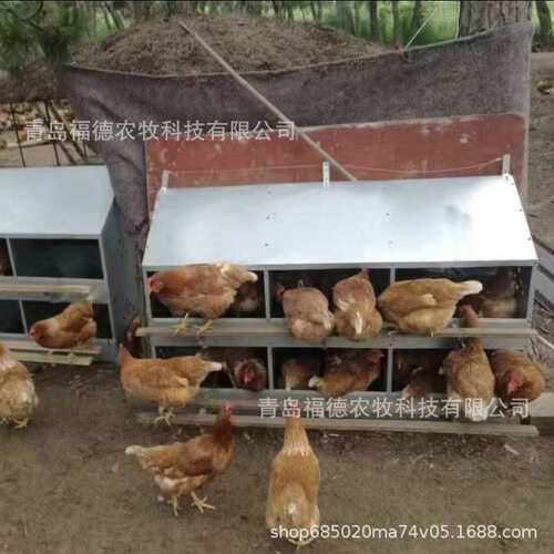 多穴鸡用产蛋箱 鸡下蛋箱子 种鸡产蛋窝 双层产蛋箱养鸡设备