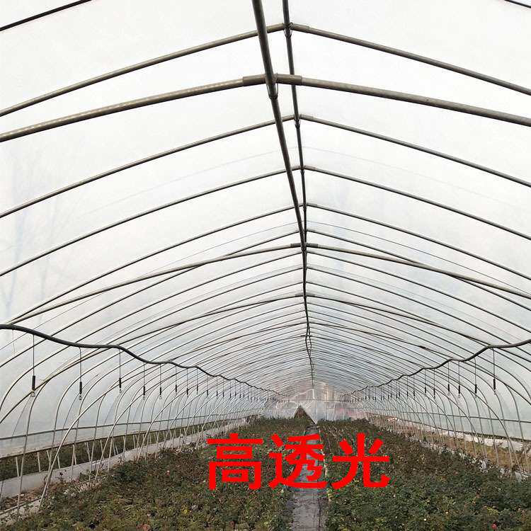 67891012米宽大棚薄膜棚膜农用塑料布加厚薄膜纸防雨防尘膜整卷