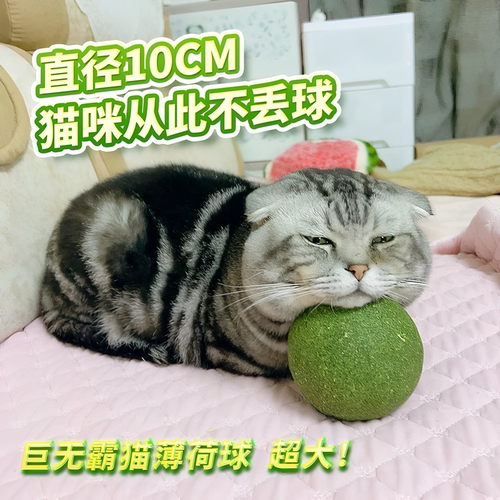 舔舔乐猫薄荷球自嗨解闷磨牙小猫咪自嗨兴趣磨牙薄荷玩具