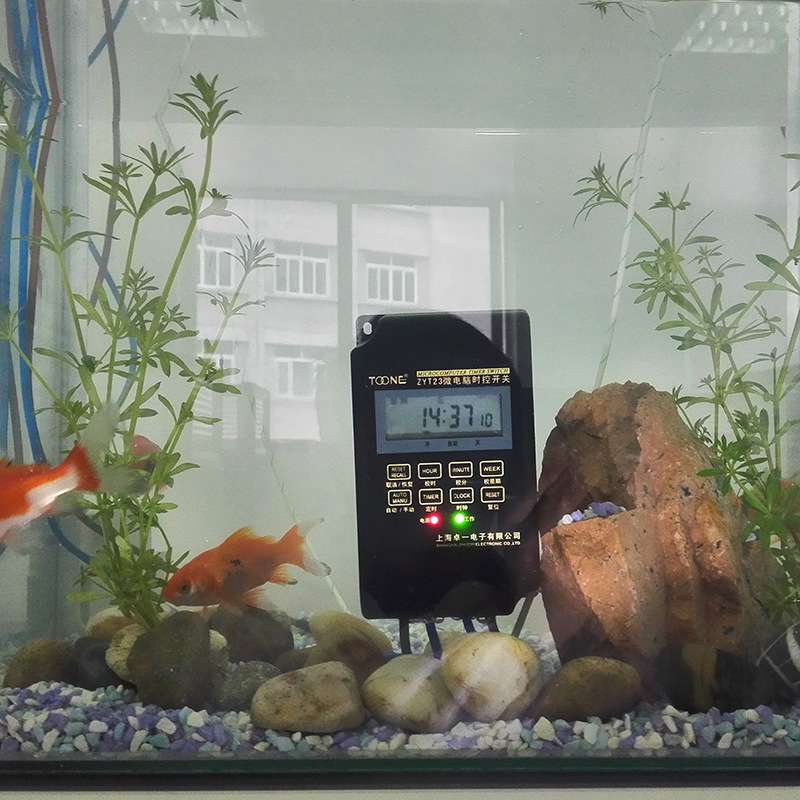 供应ZYT23防水微电脑时控开关KG316T 220V路灯广告时间定时控制器