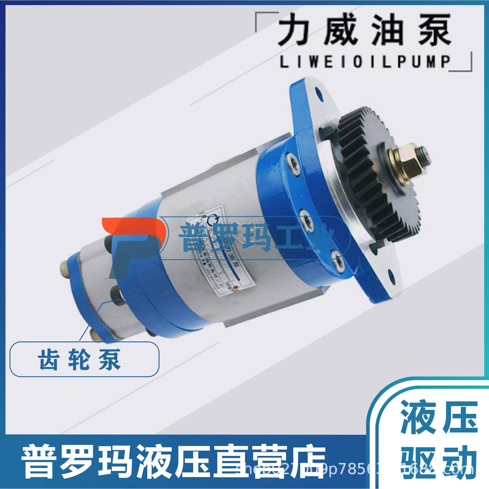 齿轮泵3407-00092力威客汽车动力车转向油泵液压转泵QC16/10-4DF3