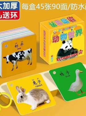 【下单立减50】宝宝认知卡片0-3岁看图识物早教创意玩具卡片JK