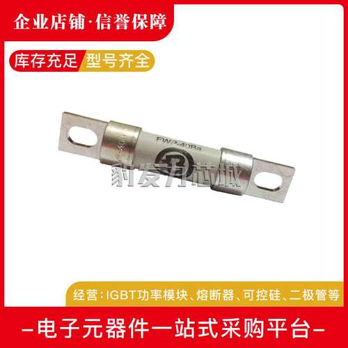 FWX-35A FWX-40A FWX-45A/50A FWX-60A/70A/80A快速熔断器保险丝