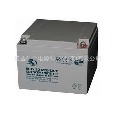 赛特蓄电池BT-12M24AT/12V24AH蓄电池电源