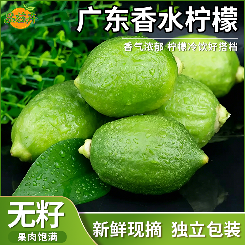 广东香水柠檬新鲜正宗青柠檬无籽大果一级果应当季水果奶茶店专用