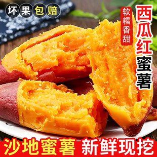 品兹卉西瓜红沙地蜜薯新鲜现挖