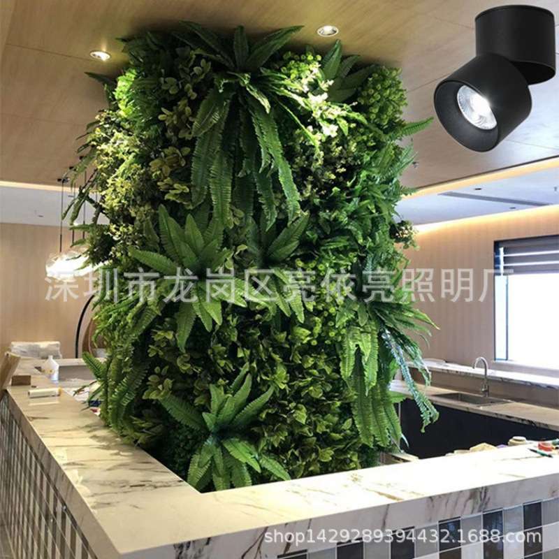 LED植物补光灯室内小太阳生长灯全光谱绿植花卉盆栽鱼缸仿太阳灯