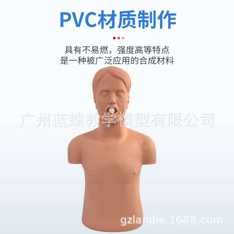 成人儿童婴儿梗塞模型 海姆立克急救训练 人体气管异物梗阻急救法