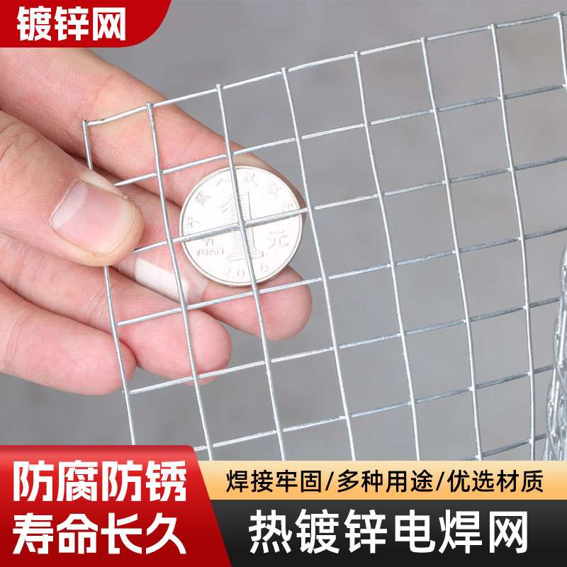 镀锌铁丝网加粗养鸡围栏网钢丝网养殖网防护网小孔栅栏户外格网