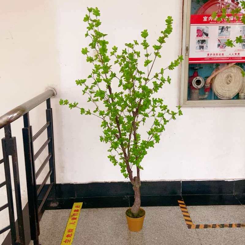 工厂店仿真树吊钟马醉木盆栽园艺客厅假绿植小树造景装饰家居摆件