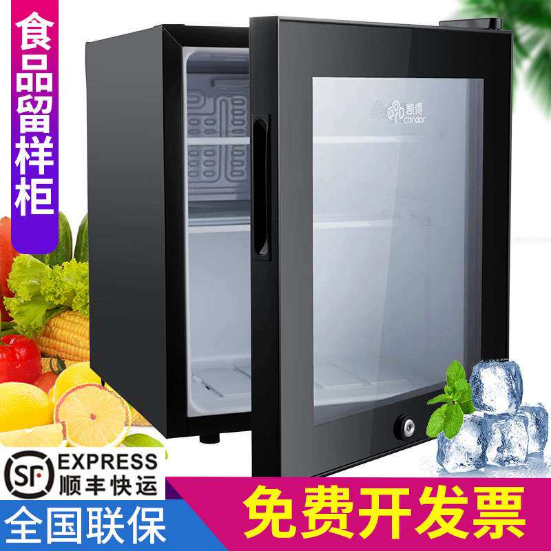 幼儿园食品留样柜饮料冷柜小冰箱小型家用商用冷藏保鲜展示柜带锁
