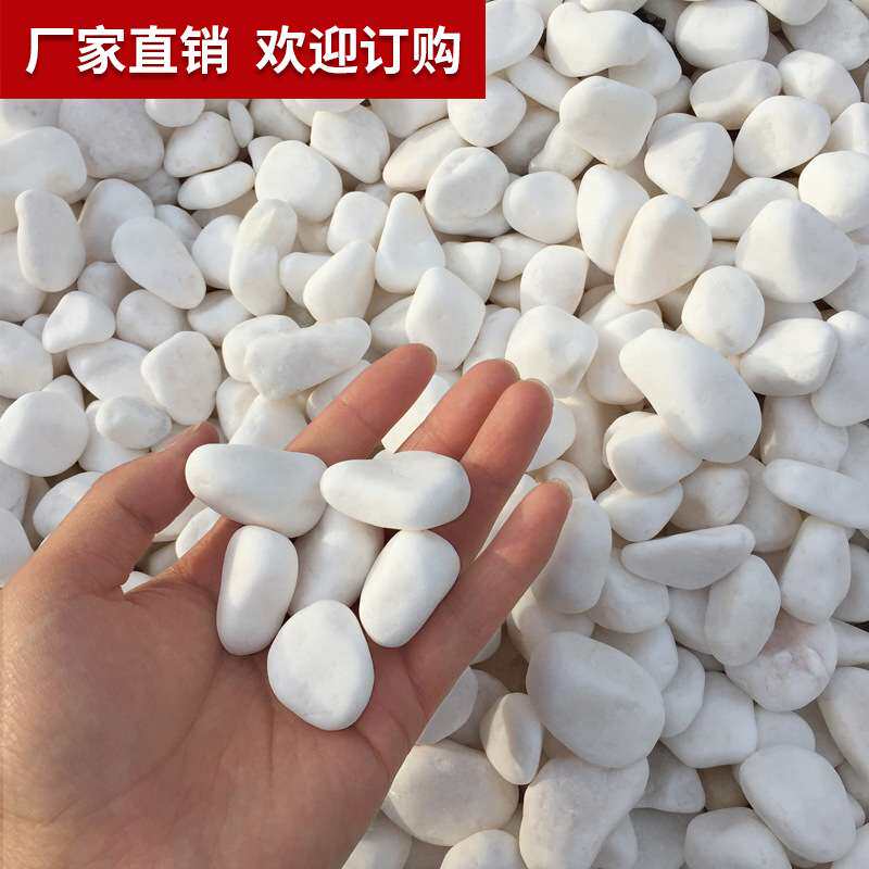 石子白石子厂家 机制水磨石骨料白色碎石砾石散铺造景白色石子