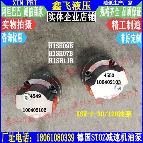 STOZ?ZB4549 100402102油泵Flender H1SH07B H1SH09B配套油泵