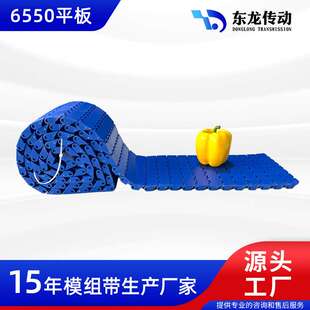 跨境6550平板链板带 塑料网带模组带 理盖机链板瓶盖提升机输送带