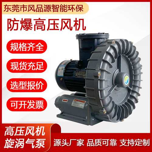 石油化工防爆鼓风机2GH 810-H17高压漩涡风机隔爆耐腐蚀旋涡气泵