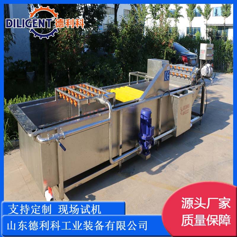 叶类果蔬气泡水浴喷淋清洗机
