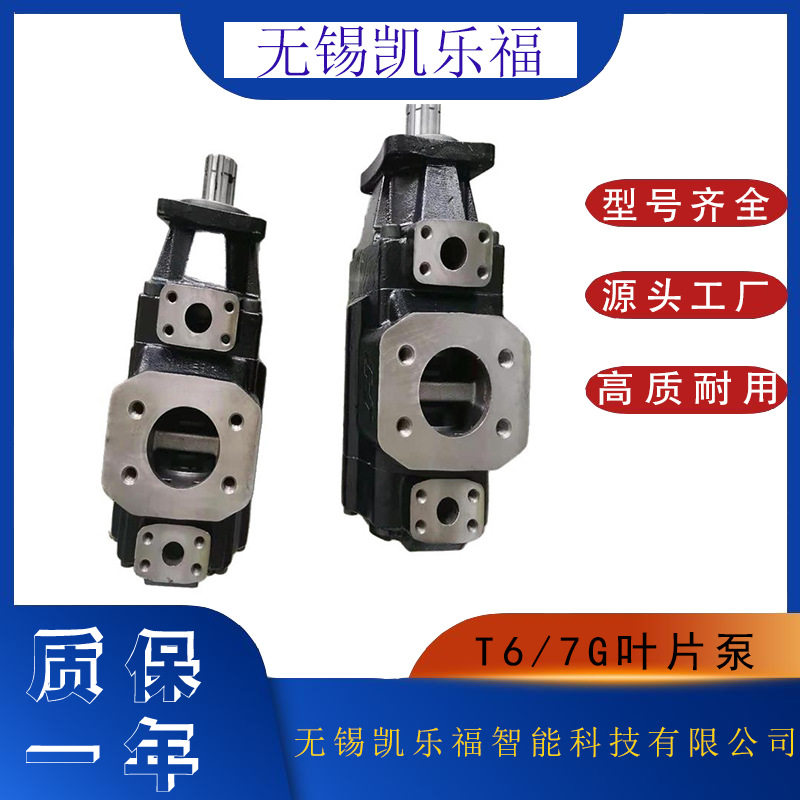 装载机/压塑机油泵T6GCC-B25