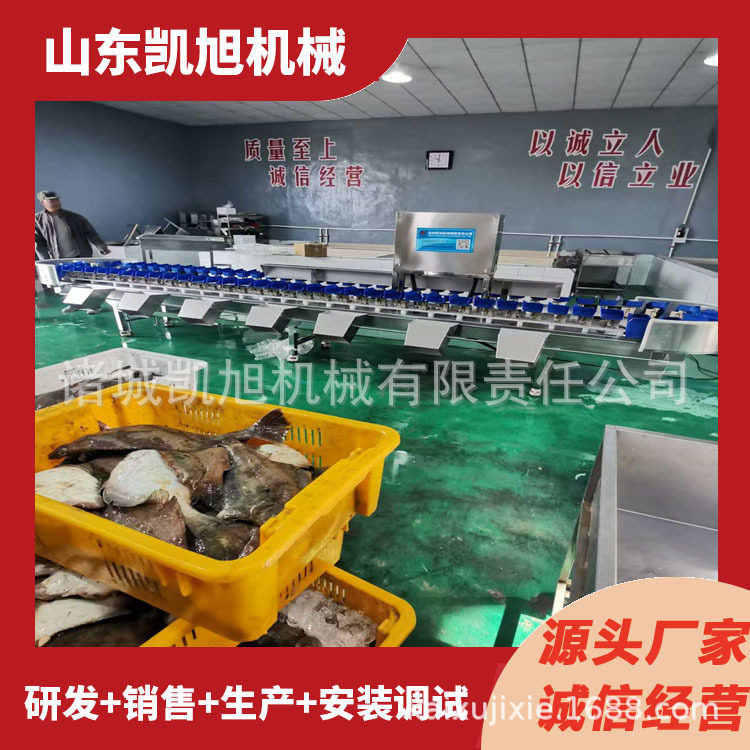 多功能自动重量分拣机鱼块鳕鱼