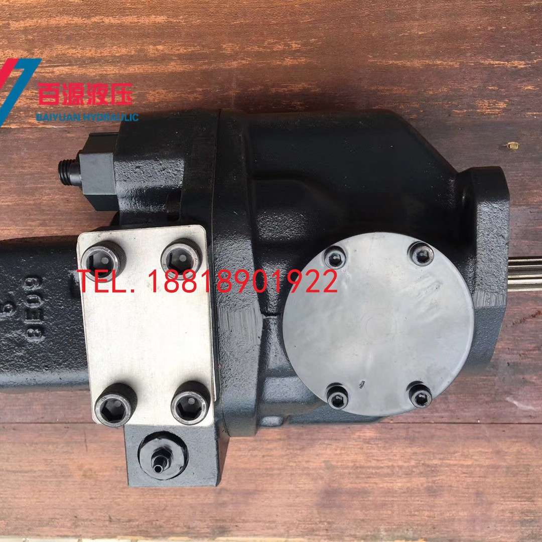 凯斯55 58液压泵 AP2D25 华普60先导齿轮泵 柱塞缸体 挖掘机配件
