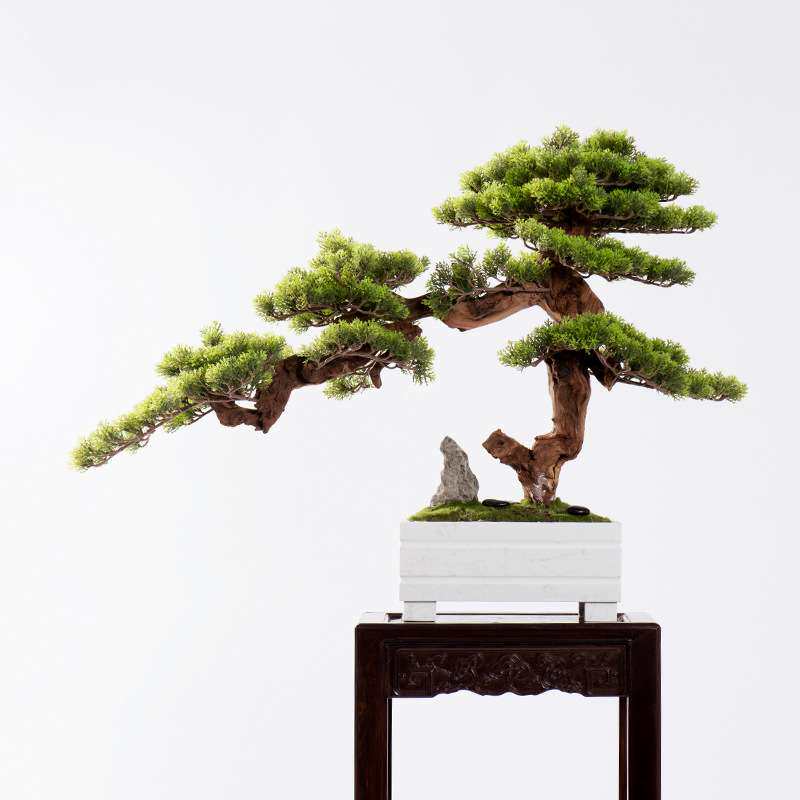仿真迎客松盆景客厅玄关绿植松树走廊过道日式禅意新中式盆栽摆设