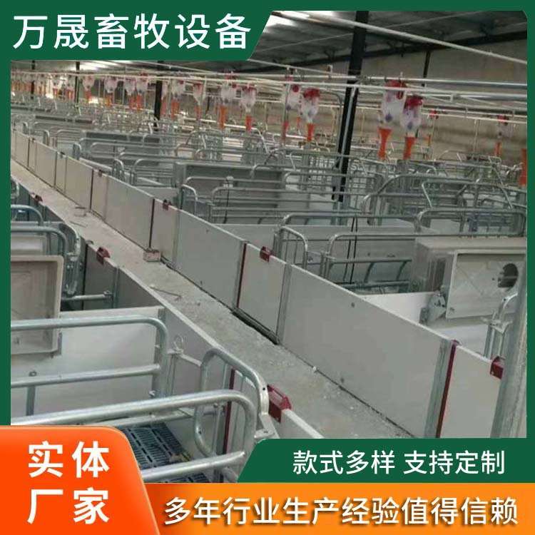 全复合双体母猪产床 产保一体两用床 养猪设备母猪分娩床全自动