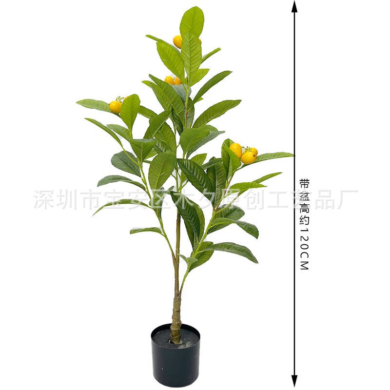 新款仿真枇d杷树盆栽 室内外客厅装饰小果树植物绿植盆景摆件