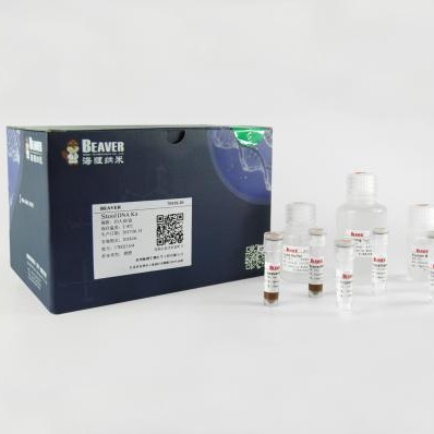 海狸BEAVER 链霉亲和素磁珠试用套装1ml 22306 22307 22308 22309