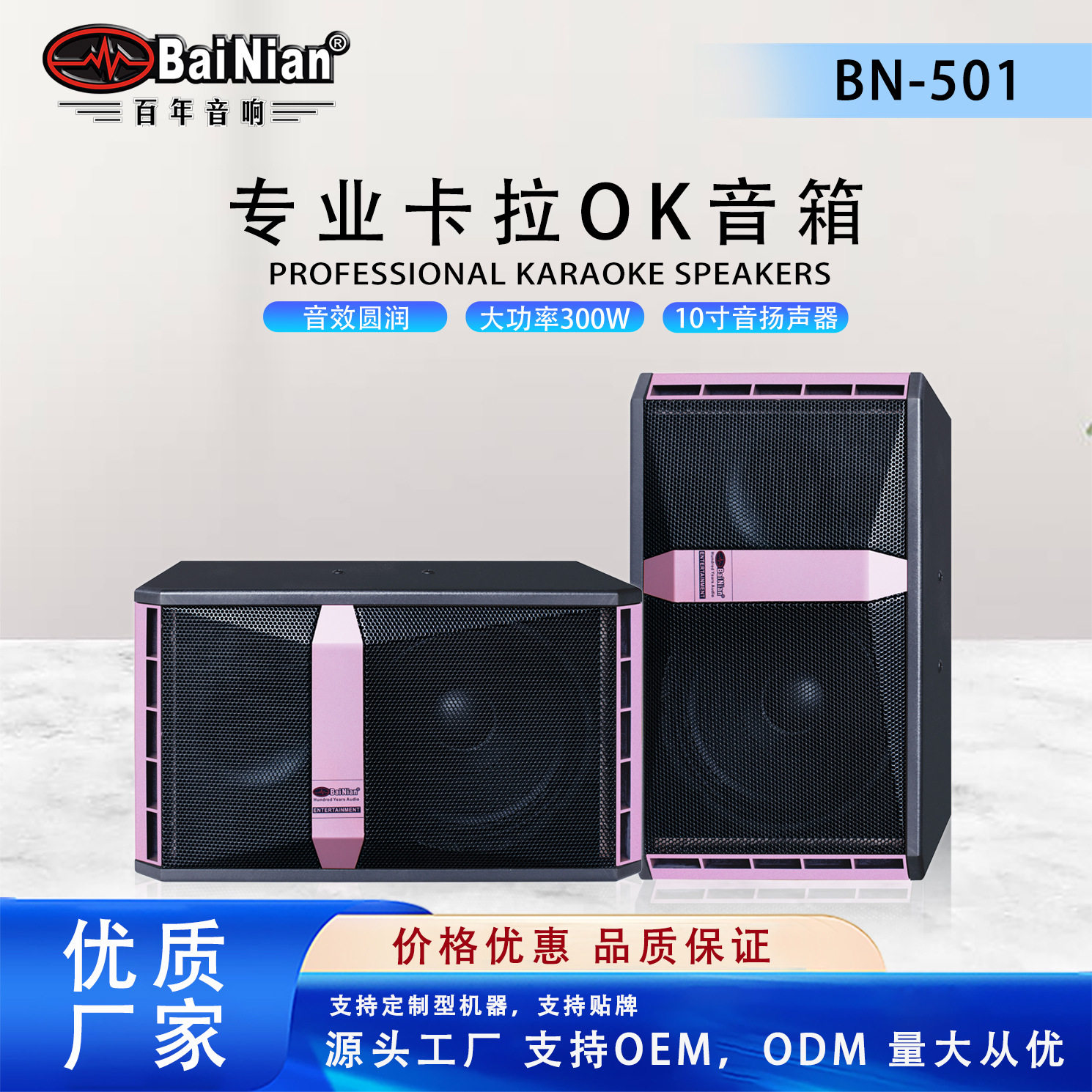 10寸专业大中小型会议室音响套装舞蹈房教室培训多功能厅壁挂音箱