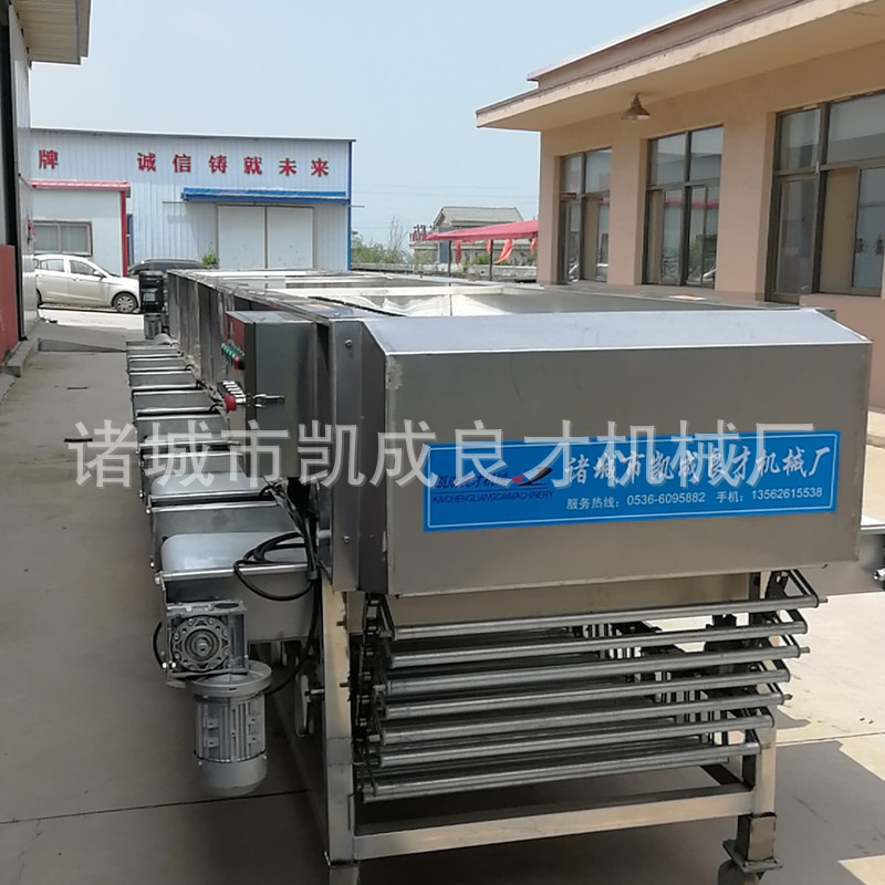 百香果土豆水果分级选果机