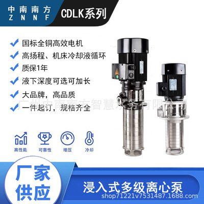 中南南方水泵浸入式多级离心泵