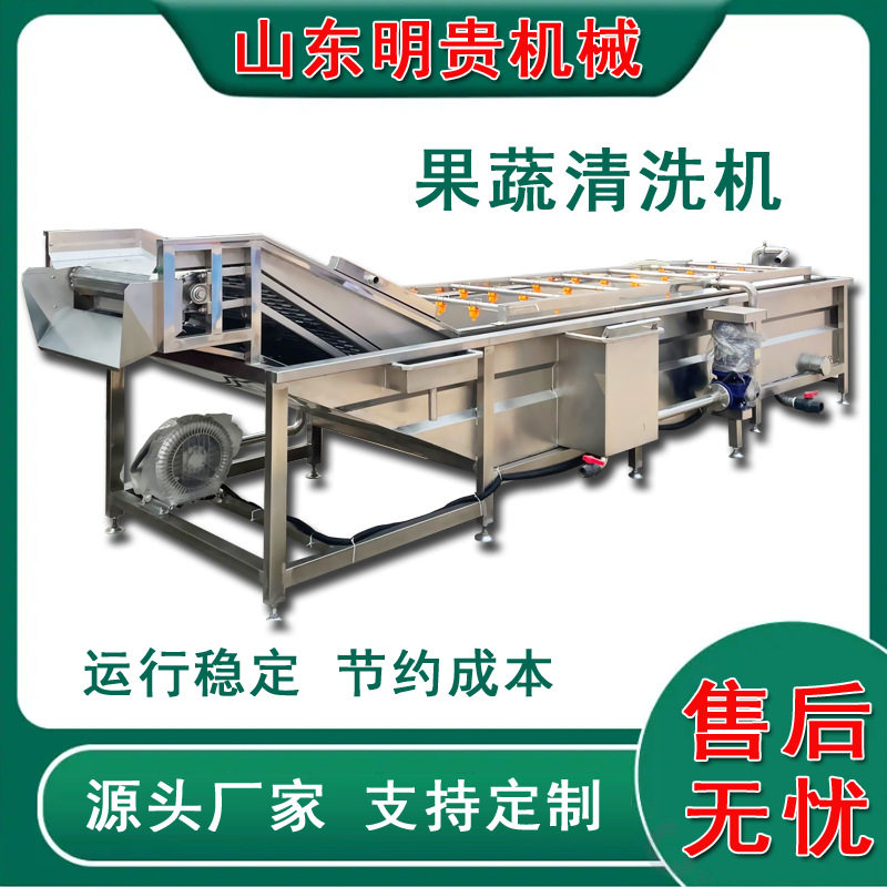 全自动气泡喷淋果蔬清洗机