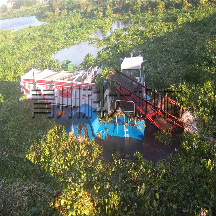 四川成都水葫芦割草船水面割草保洁船水浮莲收集打捞设备
