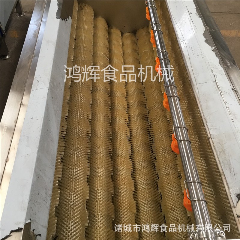 新型毛刷清洗机 多功能洗菜机v 清洗鱼鳞机贝壳类 150-350现货直