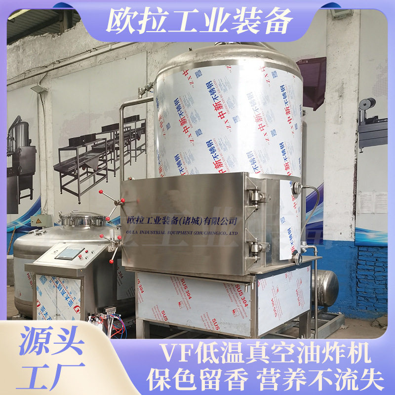 酸辣粉螺蛳粉蔬菜调料低温油炸设备 海鲜虾蟹鱼骨真空低温油炸机