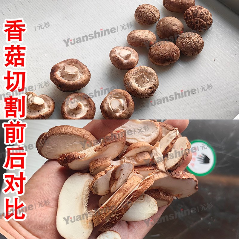 全自动滚刀式切丝机 海带豆腐C皮切丝机 输送带香菇切片机