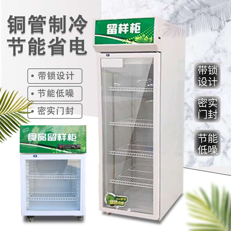 幼儿园食品留样柜饮料冷柜小冰箱小型单门商用冷藏保鲜展示柜单锁
