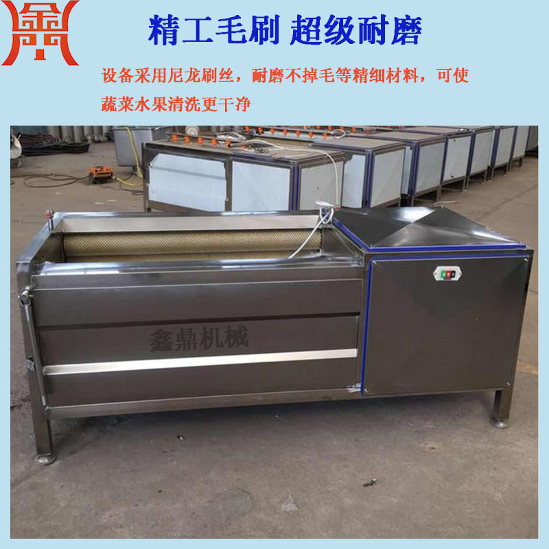 现货供应小芋头脱皮机 毛刷喷淋清洗机 自动清洗出料全钢制造