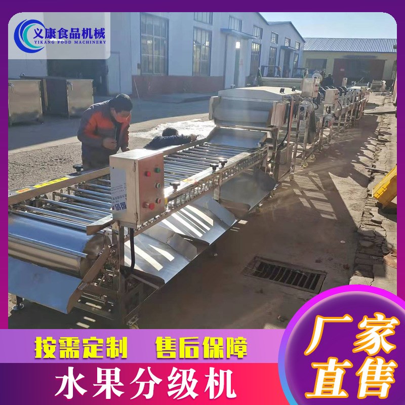 供应水果分级选果机 全自动沃柑分G级机 丑橘橙子分级机设备