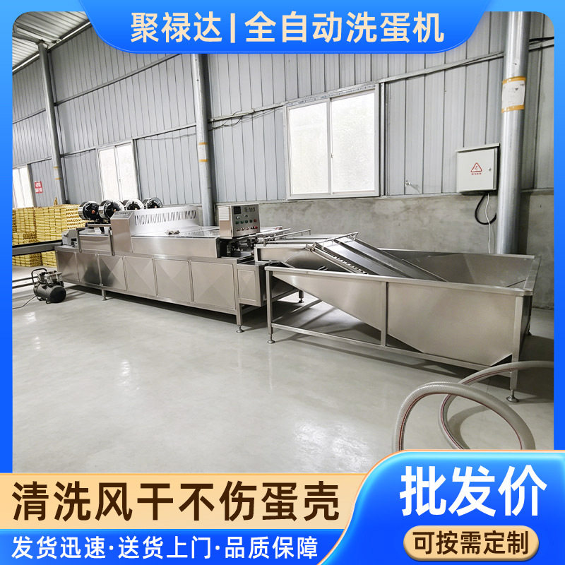鸡蛋鸭蛋全套清洗流水线洗蛋机土鸡蛋笨鸡蛋三排自动光检机器