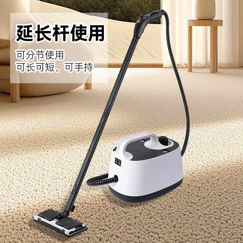 新款高温高压蒸汽清洁机小型家用蒸汽清洗机 欧规美规SE8621