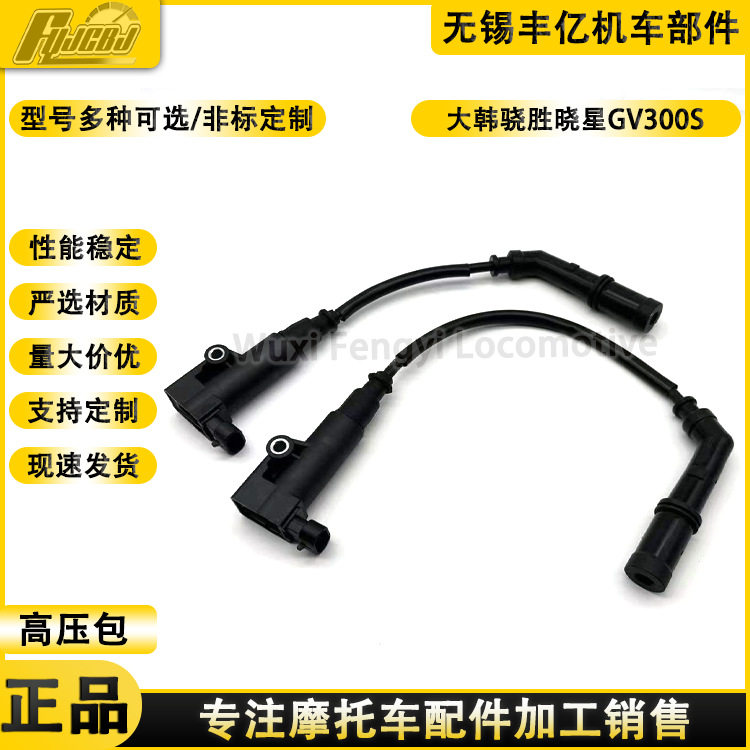 轻骑大韩骁胜晓星GV300S高压包QM300前后高压包高压线火花塞帽