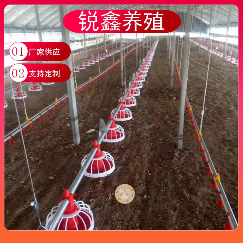 养鸡设备 肉鸡自动料线水v线饮水器 料线配件 绞龙肉鸡用料线