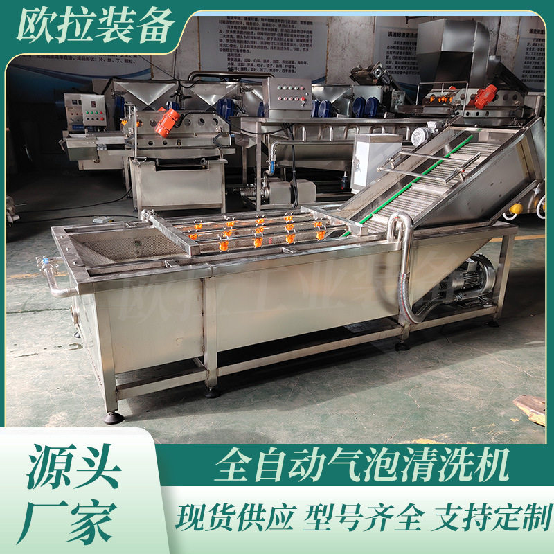 毛桃油桃杏气泡清洗设备 果蔬清洗机器 薯条加工全套设备