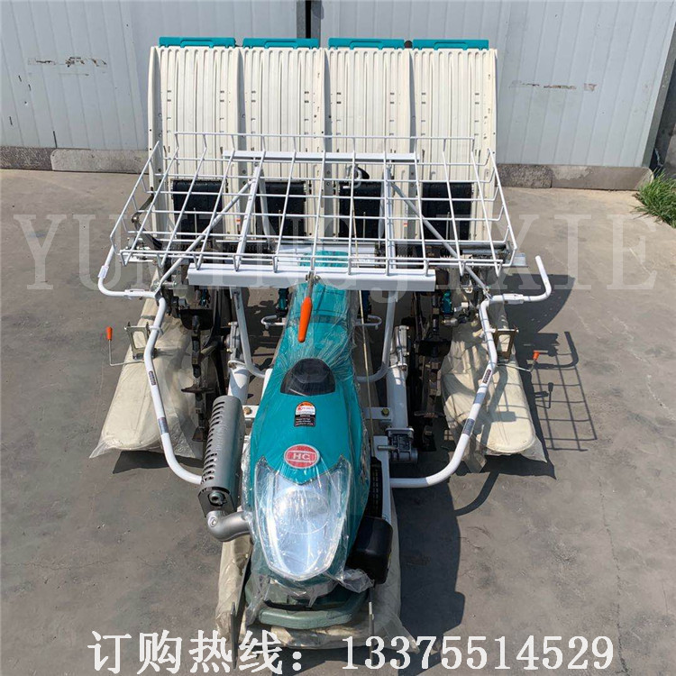 小型插秧机械厂家微型人力新款播种机手扶步进式农用水稻插秧机