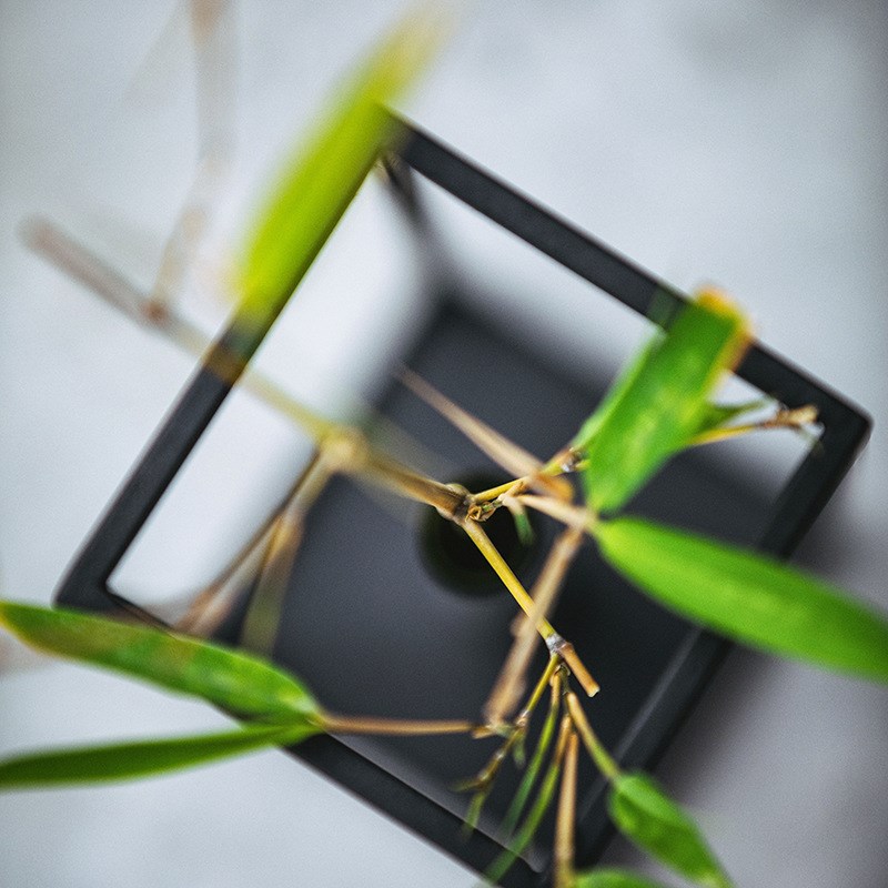 日式简约铁艺花插花器透明玻w璃试管花瓶水培容器客厅家居创意摆