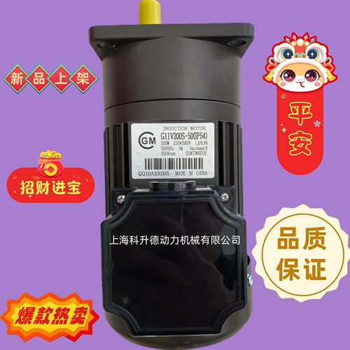 G11V200S-50(IP54)  CGM电机  CGM马达  G11V200S-75 G11V200S-90