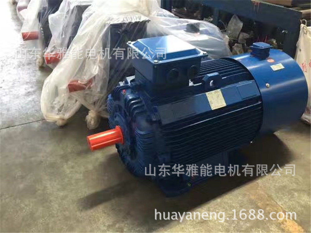 YE4-225M-8-22电机BT4防爆等级YE4电机清洗轴承润滑脂充满轴承室