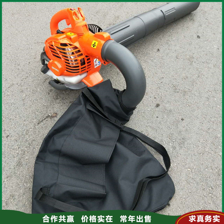 汽油小型道路清理吹风机道路两旁落叶吹吸机风力可调节吹雪机