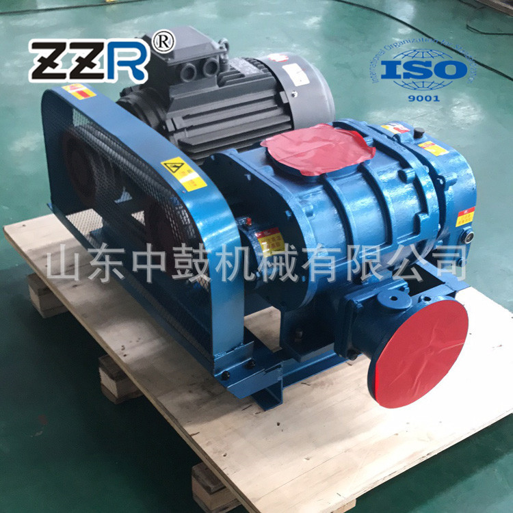 ZZR125三叶罗茨鼓风机沼气脱硫